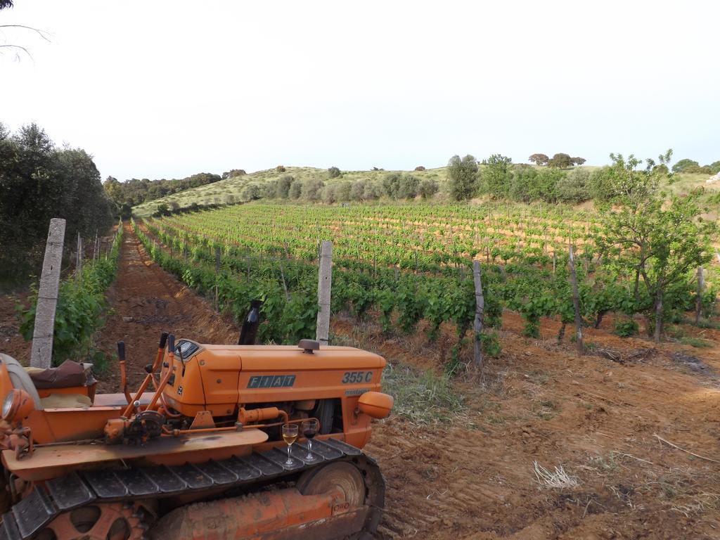גרוסטו Agriturismo San Giorgino מראה חיצוני תמונה